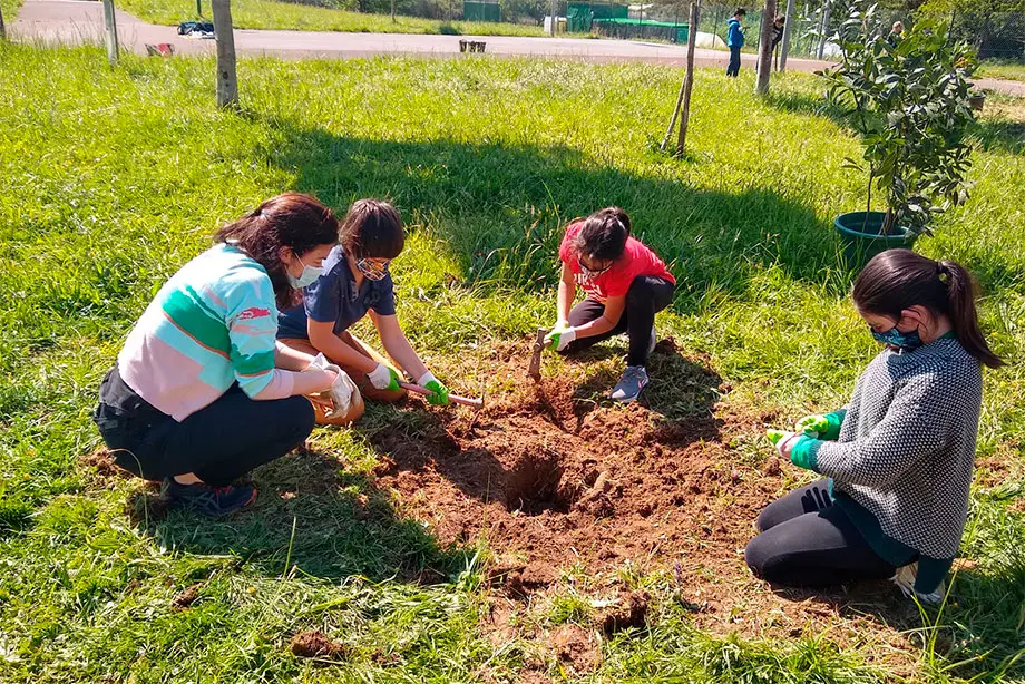 Plantación de árboles en el parque de Zubitalde